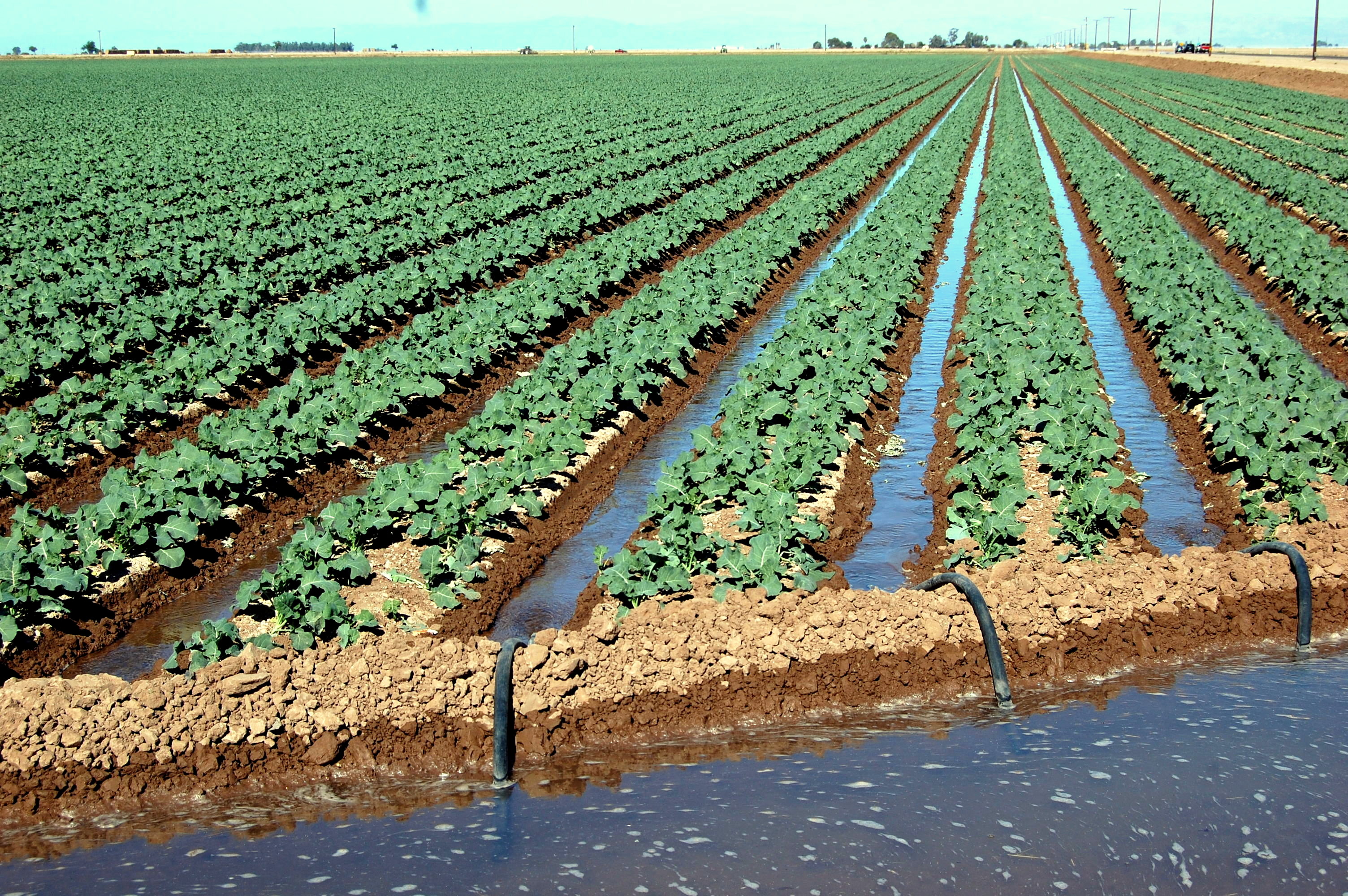 Modern farming methods. Ирригация капельное орошение. Вода в сельском хозяйстве. Ирригация почвы. Сельское хозяйство полив.