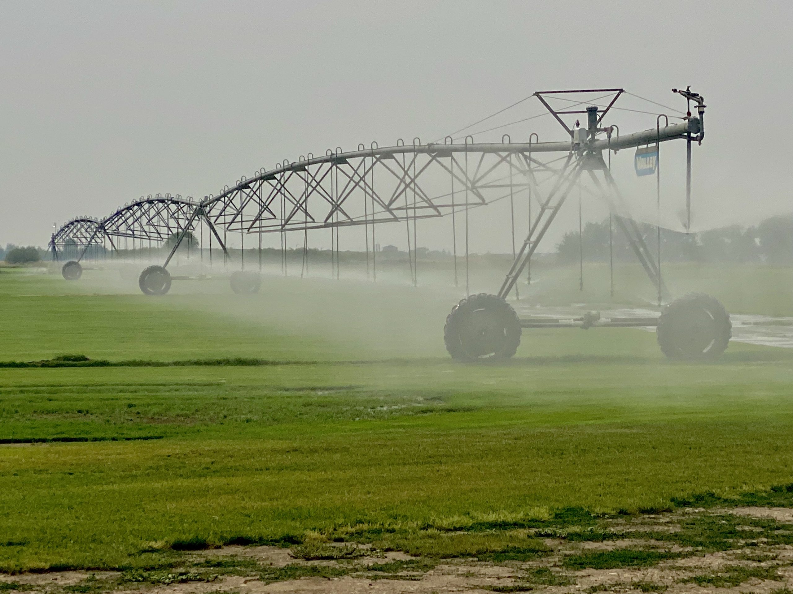 irrigation agriculture